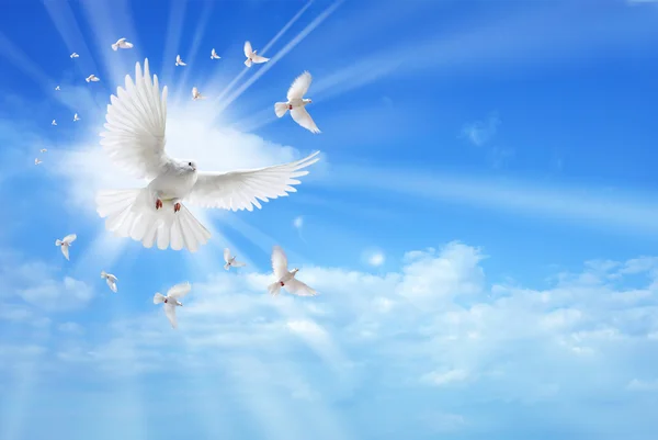 How Important Is The Holy Spirit?